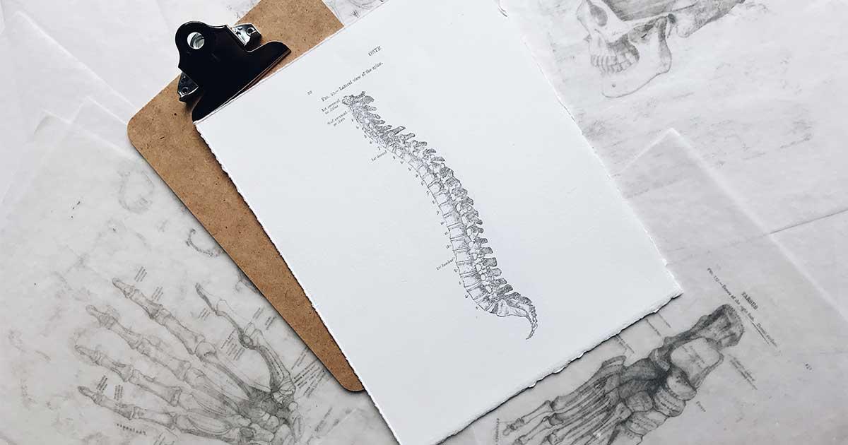 SEO for chiropractors