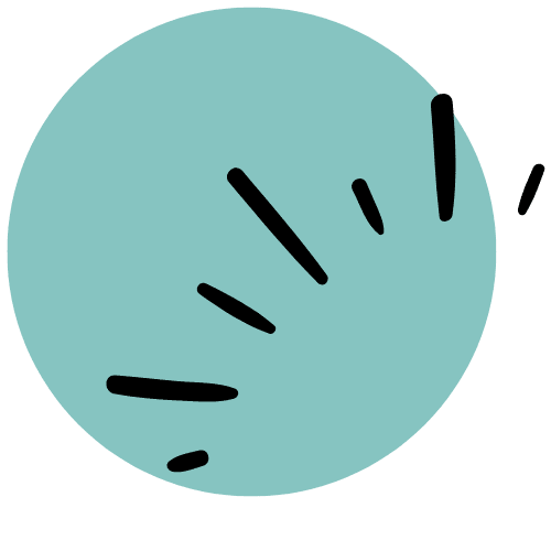affordable doula websites