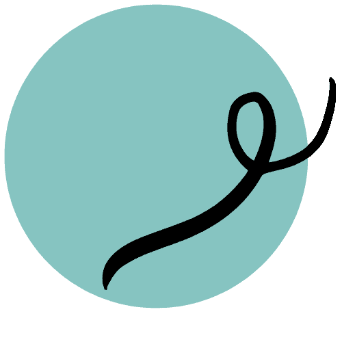 doula website design